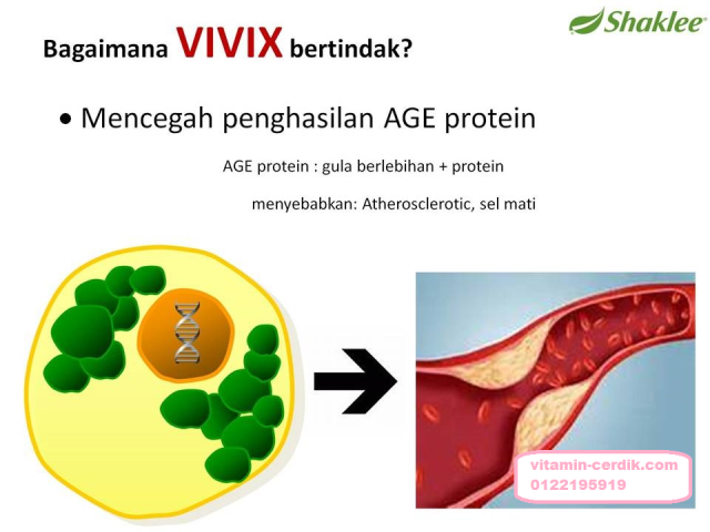 AGE-protein-vivix